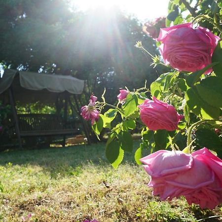 Kavet Palio Cottage PalaiónTsiflíkion 외부 사진