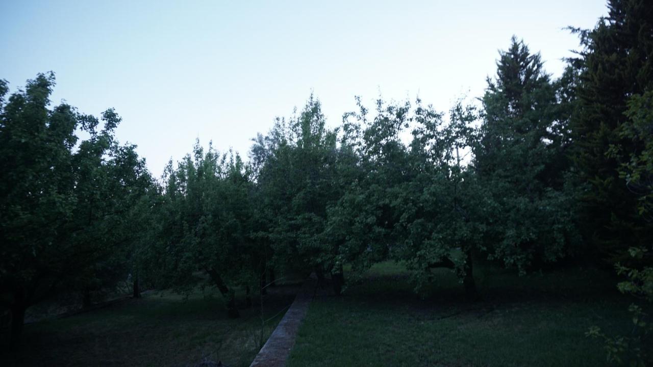 Kavet Palio Cottage PalaiónTsiflíkion 외부 사진