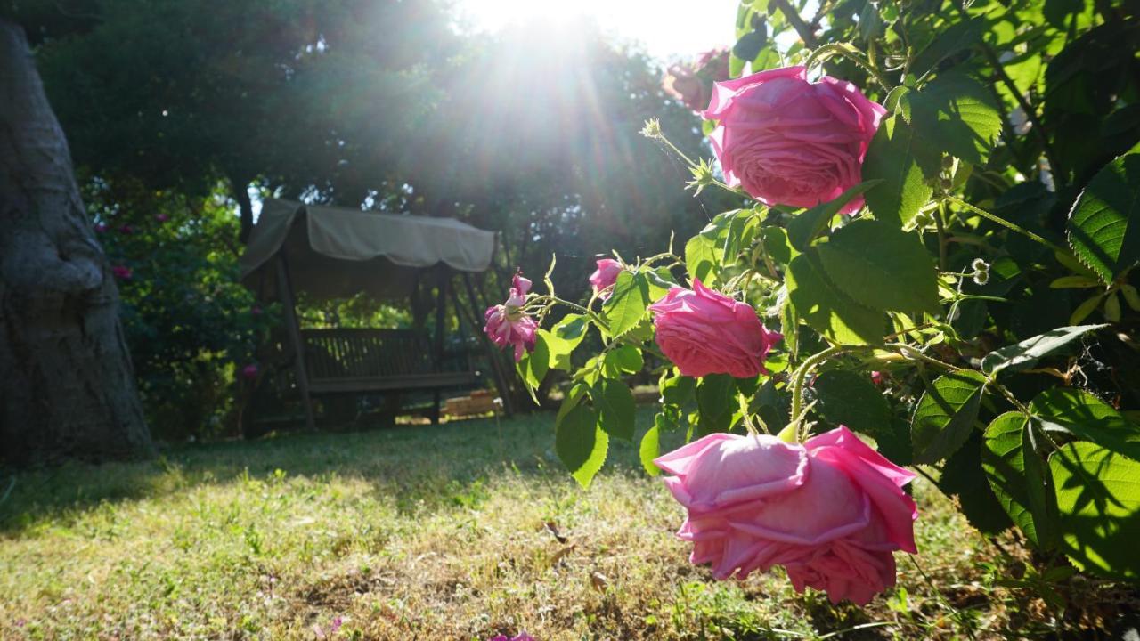 Kavet Palio Cottage PalaiónTsiflíkion 외부 사진
